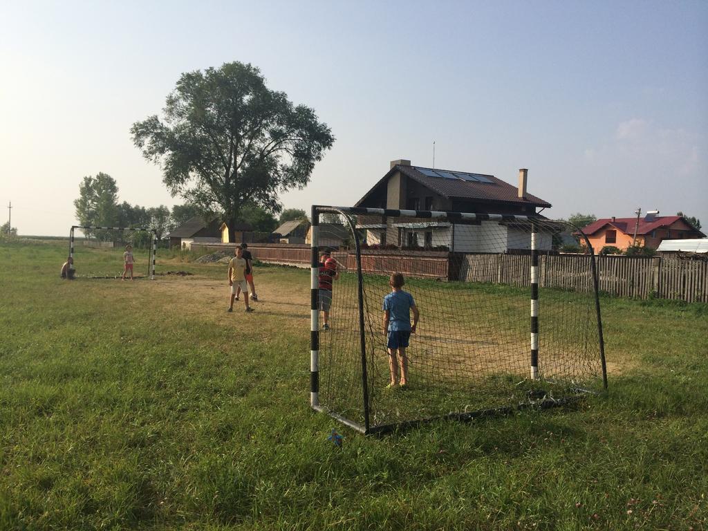 Pensiunea Dany - Crys Zvoristea Bagian luar foto