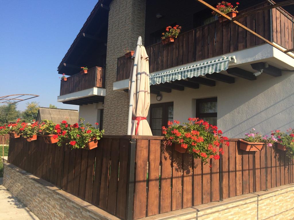 Pensiunea Dany - Crys Zvoristea Bagian luar foto