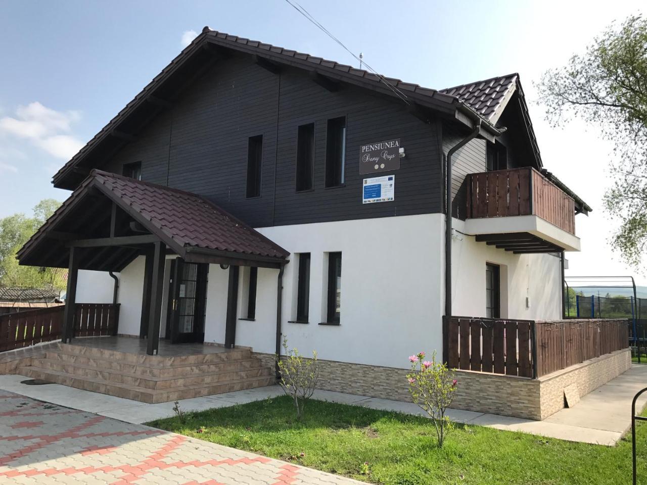 Pensiunea Dany - Crys Zvoristea Bagian luar foto
