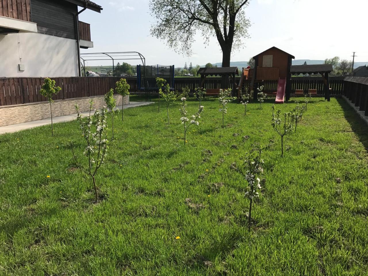 Pensiunea Dany - Crys Zvoristea Bagian luar foto
